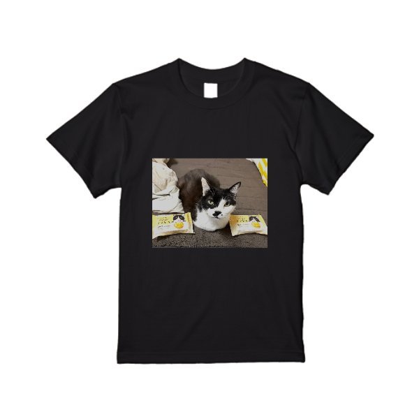 5.6オンス ヘビーウエイトＴシャツ - タカハマライフアート