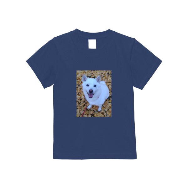 5.6オンス ハイクオリティーＴシャツ（140~160） - タカハマライフアート