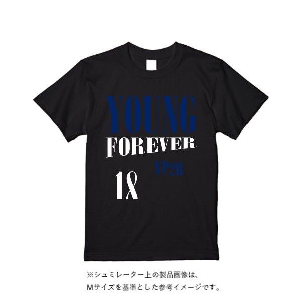 7.1オンス オーセンティック スーパーヘヴィーウェイト Tシャツ - タカハマライフアート