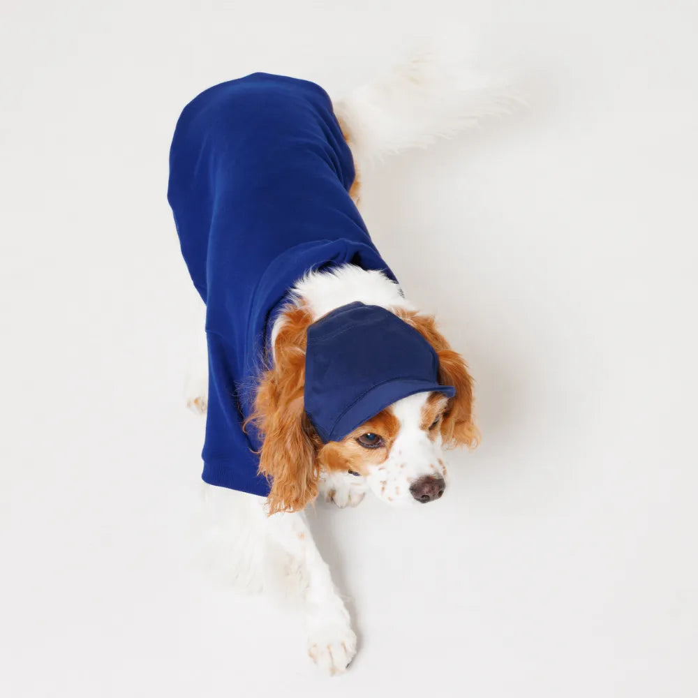 PET CAP