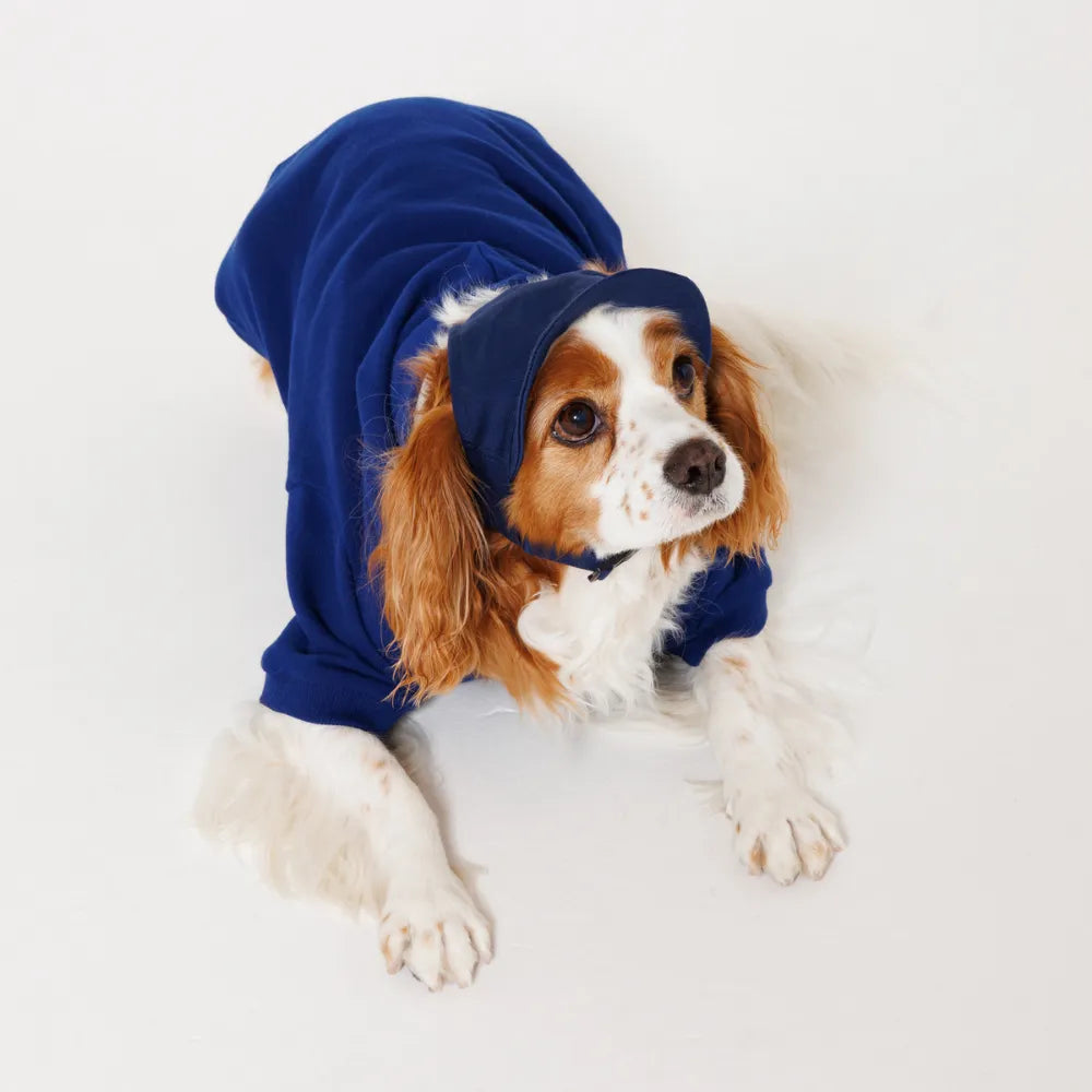 PET HARF SLEEVE CT FRENCH TERRY PARKA
