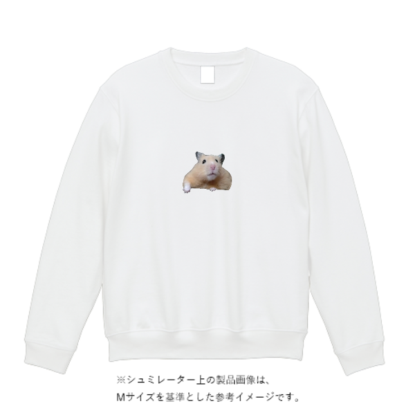 8.4オンス MLC クルーネックライトトレーナー(キッズ) 8.4オンス MLC クルーネックライトトレーナー(キッズ)