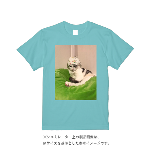 《ドライ素材定番No.1》 4.4オンス ドライ Ｔシャツ（定番カラー）
