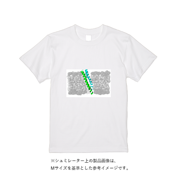 【即日発送】超特急Tシャツ - ホワイト