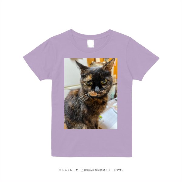 《ドライ素材定番No.1》4.4オンス ドライ Ｔシャツ(レディース) - タカハマライフアート