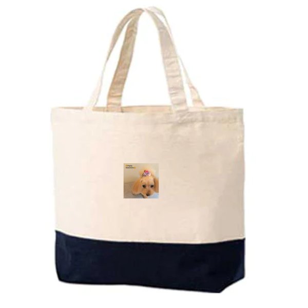 キャンバスツートントート　Sサイズ - タカハマライフアート