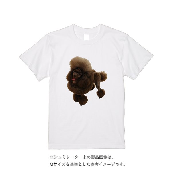 【即日発送】超特急Tシャツ - ホワイト - タカハマライフアート