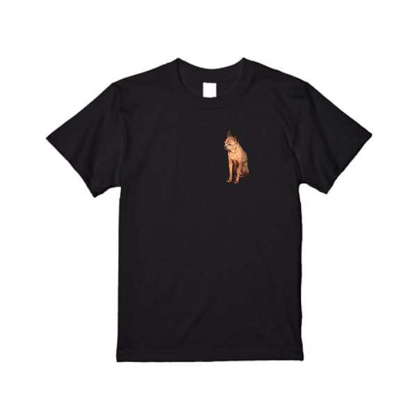 【即日発送】超特急Tシャツ - ブラック - タカハマライフアート